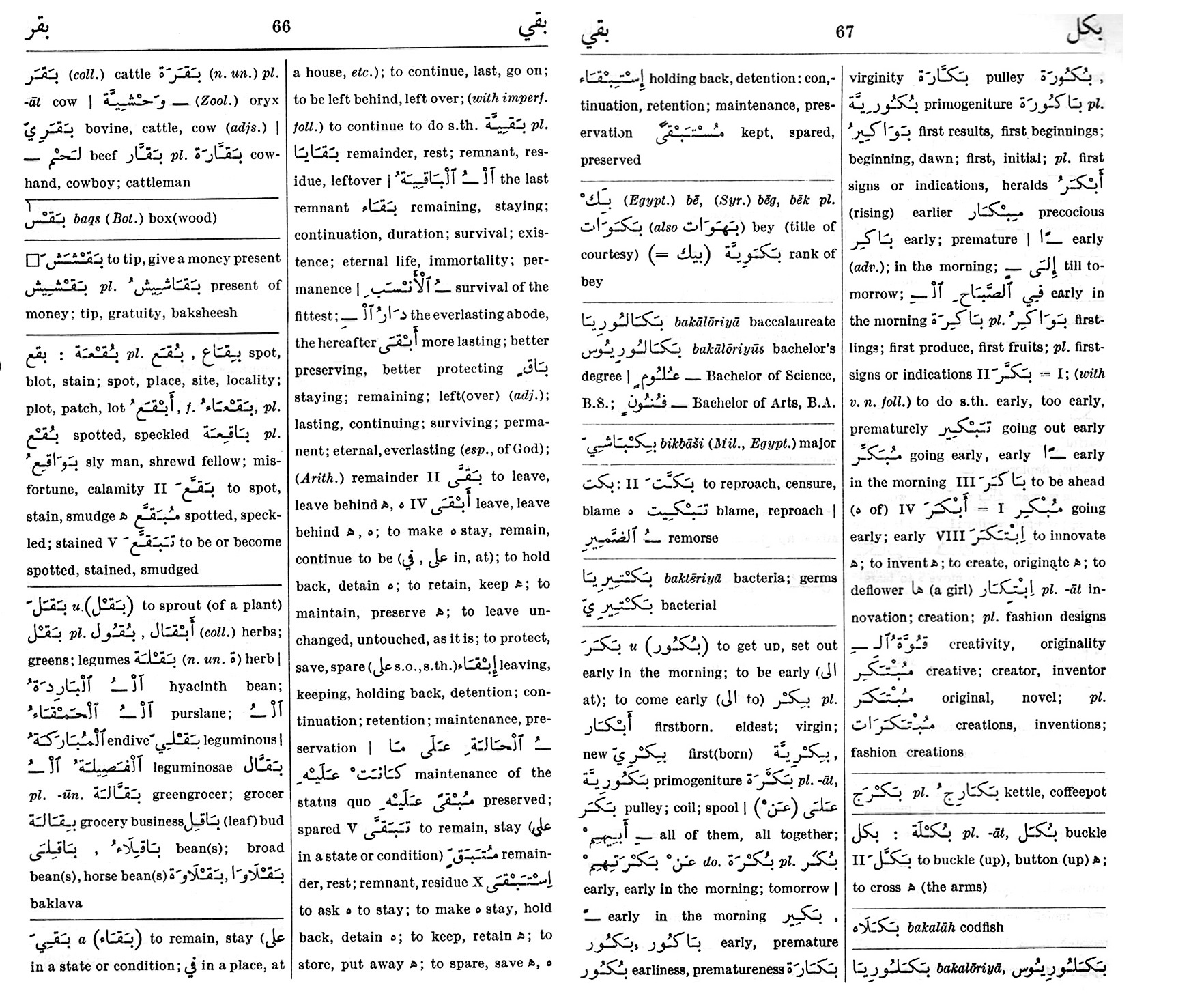 Quran Root Words - Dictionary